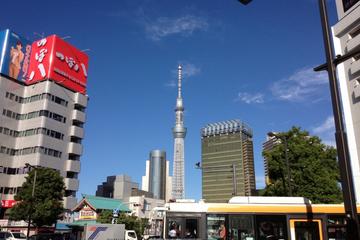 Private Muslim Tokyo Tour