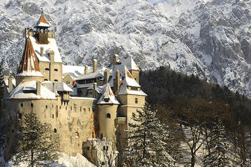 Full-Day Private Tour from Bucharest to Transylvania: Sinaia Castle, Dracula's Castle, Rasnov Fortress, Dino Park and Valea Cetatii Cave