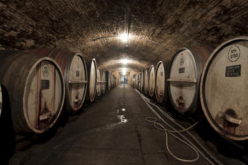 Winemaking Experience with Wine Ambassador at Tahbilk Winery