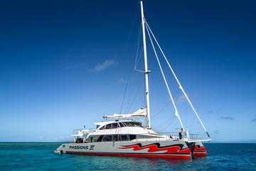 Great Barrier Reef Snorkel and Dive Cruise from Cairns by Luxury Catamaran