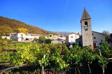 Culinary day trip to Slovenian Istria