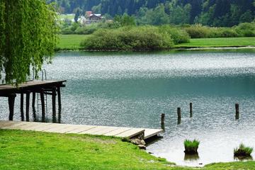 Ljubljana countryside Cycling and Hiking Tour