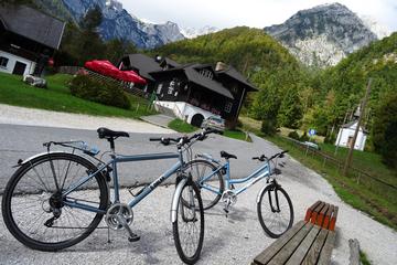 Ljubljana countryside Cycling Tour