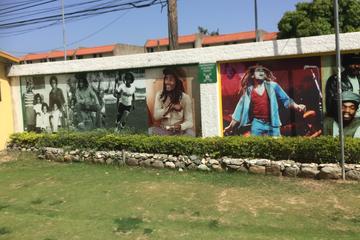 Bob Marley Nine Mile and Dunns River Combo from Ocho Rios