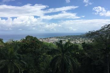 The Best of Port Antonio