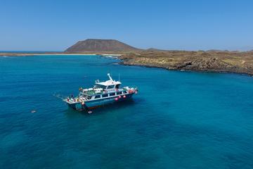 Miniexcursion with Snokel to Lobos Island Natural Park