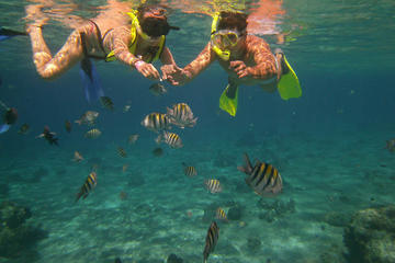 Cozumel Snorkel Adventure from Cancun