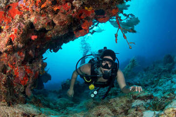Taj Mahal Cenote Cave Diving Adventure from Cancun