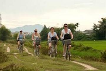 COUNTRYSIDE BICYCLE TOUR FEATURING WATER BUFFALO RIDE