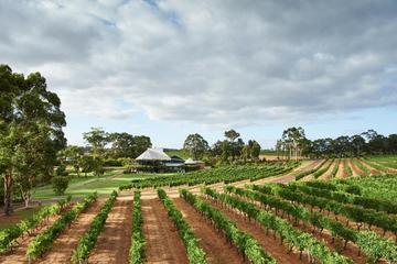 Vasse Felix Margaret River: Winery Tour and Private Wine Tasting
