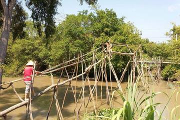 Private Mekong Delta Tour Including Cai Lay rural village