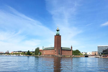 Best of Stockholm City and the National City Park - 3 hour Bike Tour