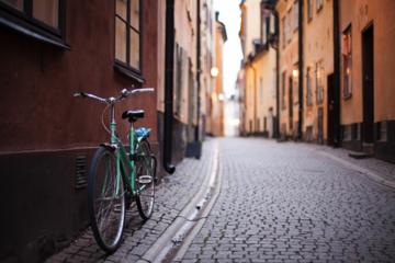 Private 2h Bike Tour: Best of Stockholm City and the National City Park