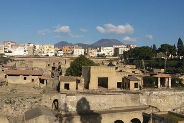 Ruins of Herculaneum Visitalia Art and Food Tour