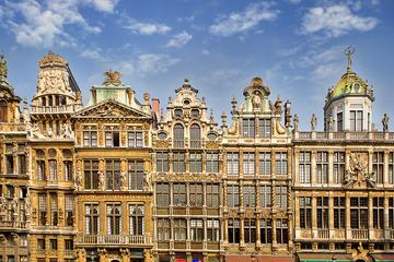 Private City Tour of Brussels from Amsterdam