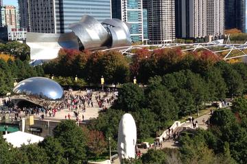 Private Guided Tour of Chicago - Deluxe Coach for 12 - International Languages
