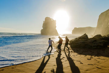 Boutique 12 Apostles Great Ocean Road with Optional Gourmet Lunch and VIP Seating