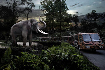 Night Safari Tour in Singapore with Priority Tram Ride