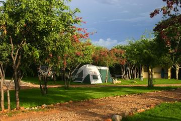 5-Day Etosha National Park on a Budget Tour from Windhoek