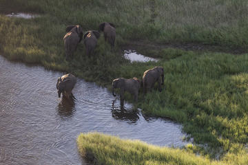 5-Day Luxury Tour of Etosha National Park from Windhoek