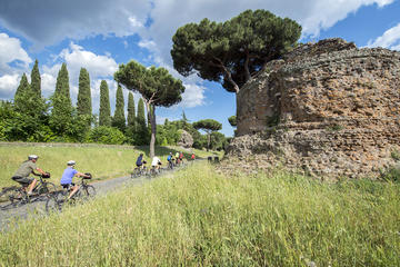 Private Appian Bike Tour