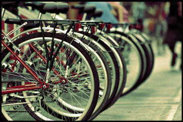 Special Combo: 1day Bike Rental plus Colosseum