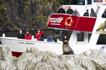 Milford Sound Fly Encounter Cruise and Fly Experience