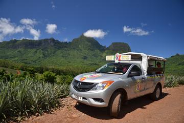 Moorea 4WD Tour Including Belvedere Pineapple Farm and Magic Mountain