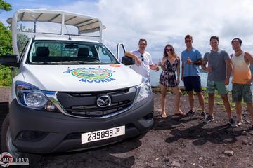 Moorea Shore Excursion: 4WD Tour Including Belvedere Pineapple Farm and Magic Mountain