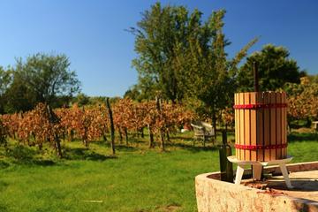 Tour enologico di Etyek da Budapest