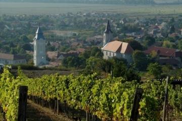 Wine Tasting Tour to Tokaj from Budapest - Heritage of Hungary