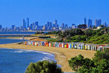 Melbourne City Tour: Sporting Icons and the Bayside
