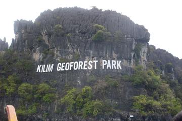 Langkawi Geo forest Park Half Day Mangrove Tour