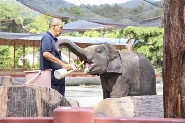 Private Day Tour to Elephant Orphanage Sanctuary Deer Land And Batu Caves