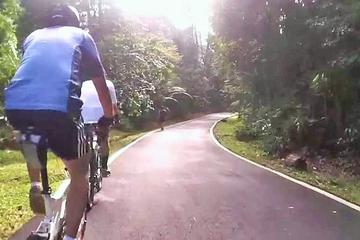 Private Half-Day National Botanic Garden Cycling Tour from Kuala Lumpur
