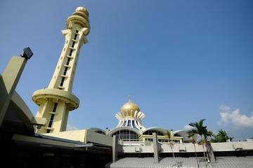 Private Pulau Penang Tour: Trails to Racial Harmony