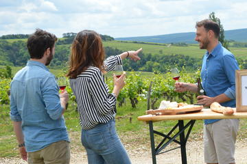 Full-Day North Burgundy and Chablis Wine Tasting Tour from Paris
