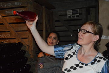 Small-Group Tour of Champagne Cellars and Vineyard from Paris