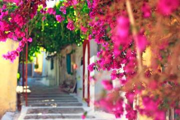 Corfu's Hidden Secrets Walking Tour and Boat Ride