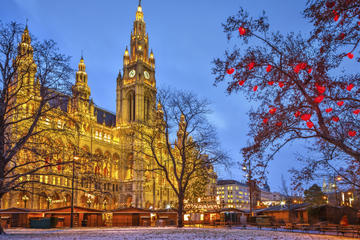 Vienna Christmas Segway Tour