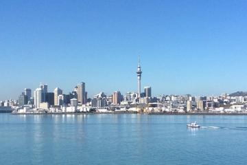 Auckland City and Maori Culture Tour