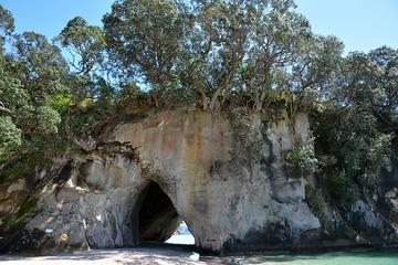 Coromandel and Cathedral Cove Day Trip from Auckland