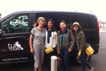 Half Day Auckland and Devonport Tour