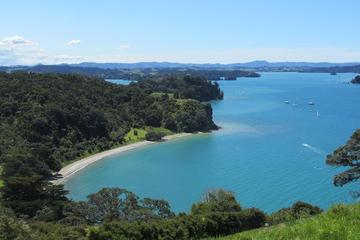 Matakana Coast and Country Tour