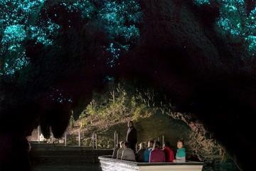 Waitomo Caves and Kiwi House