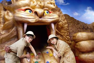 Dynamic Maze Attraction Ticket