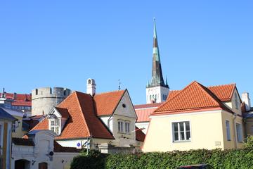Shore Excursion: 4-Hour Tallinn Guided Sightseeing Tour