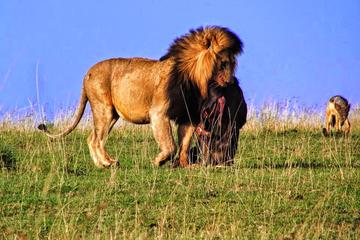 3days Samburu National Park Safari All Inclusive