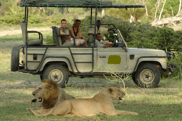 5Days Tanzania Camping Safari to Lake Manyara Serengeti And Ngorongoro Crater from Arusha