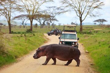 6Days Tanzania Northern Circuit Luxury Lodge Safari